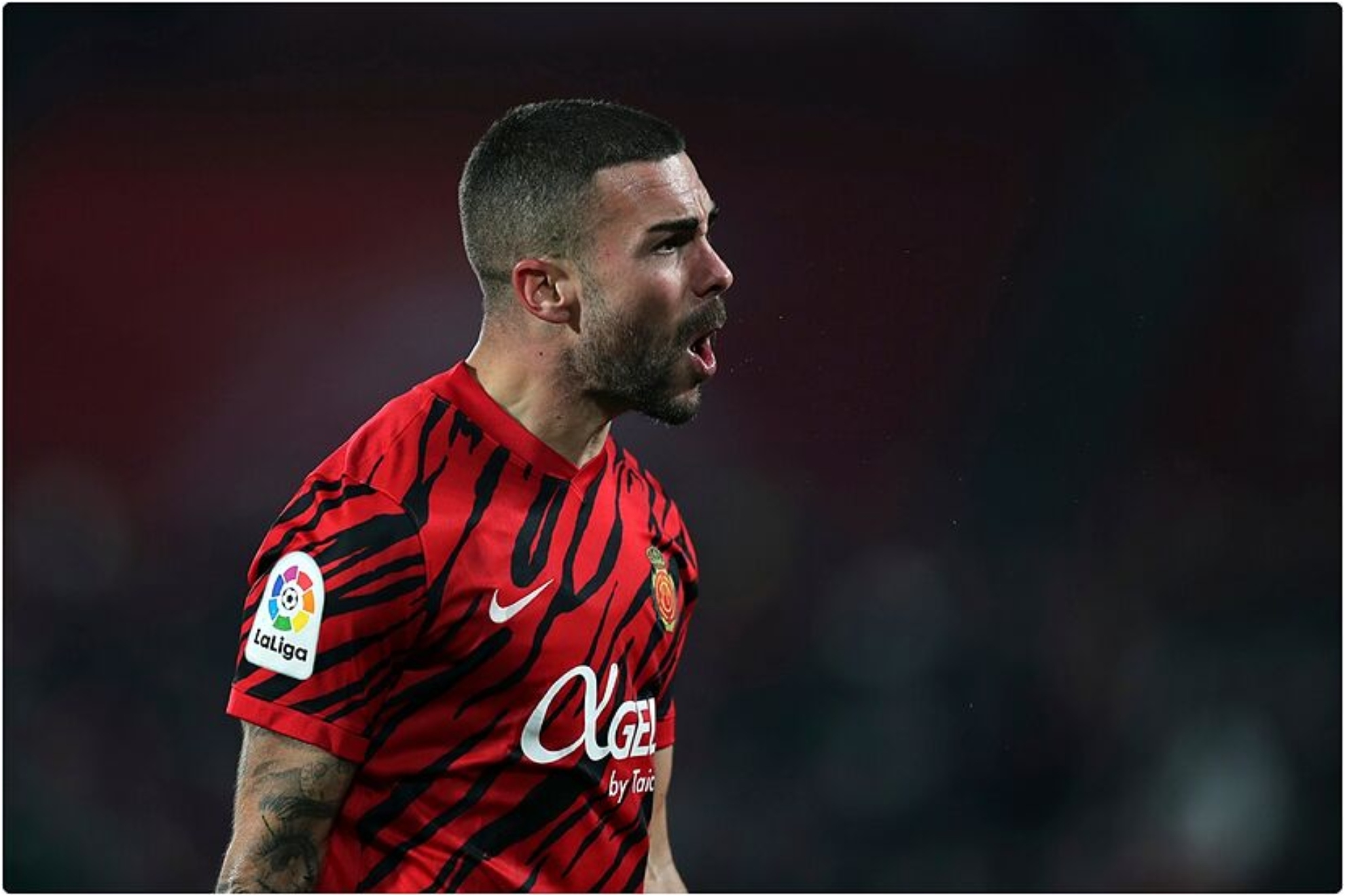 递了一个可, 即便前路坎, 将来也会为