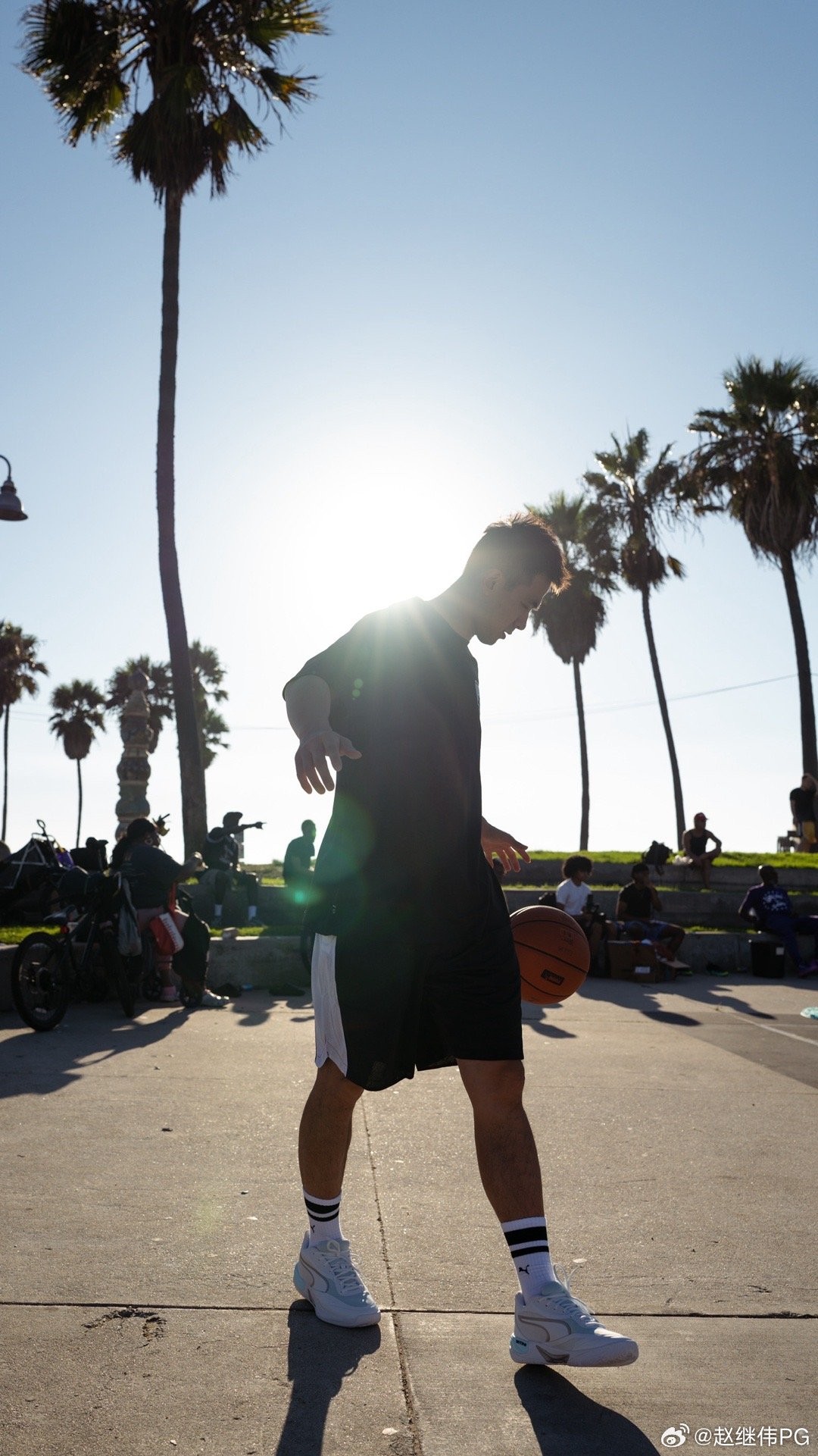 msn, 赵继伟缅怀, https msn, 赵继伟缅怀, https